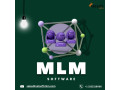 mlm-software-redefining-growth-through-smart-automation-small-0